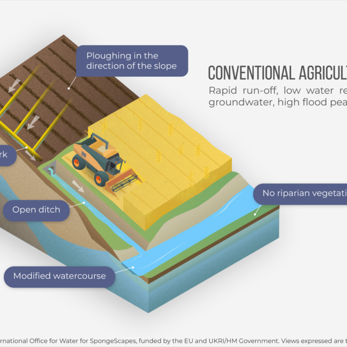 Illustrations : conventional agricultural landscape 