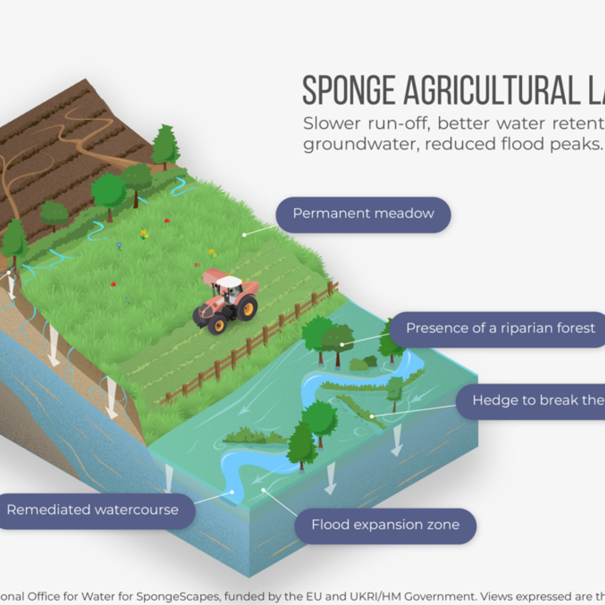 Illustrations : sponge agricultural landscape 