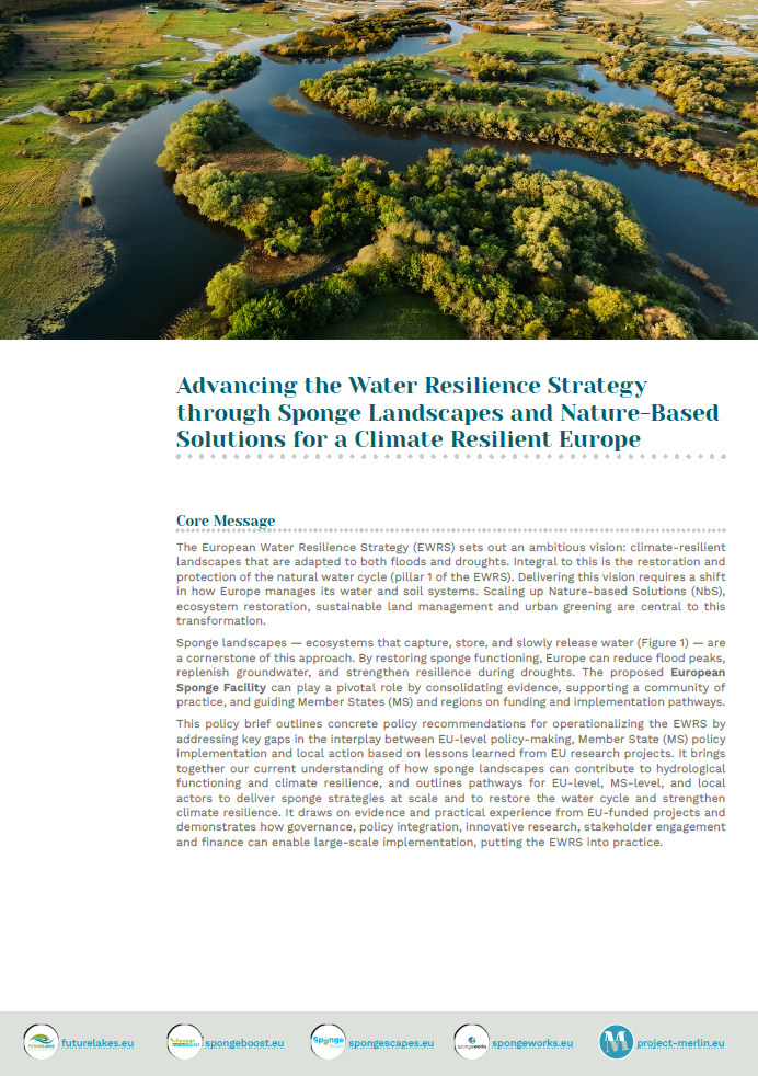 Advancing the Water Resilience Strategy through Sponge Landscapes and Nature-Based Solutions for a Climate Resilient Europe