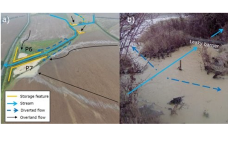 Zone A (LBSB); b) woody leaky dam operating in a flood, distributing flow to floodplain and two bunds 