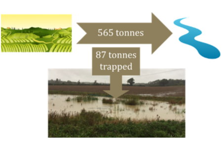 Illustration of sediment caption