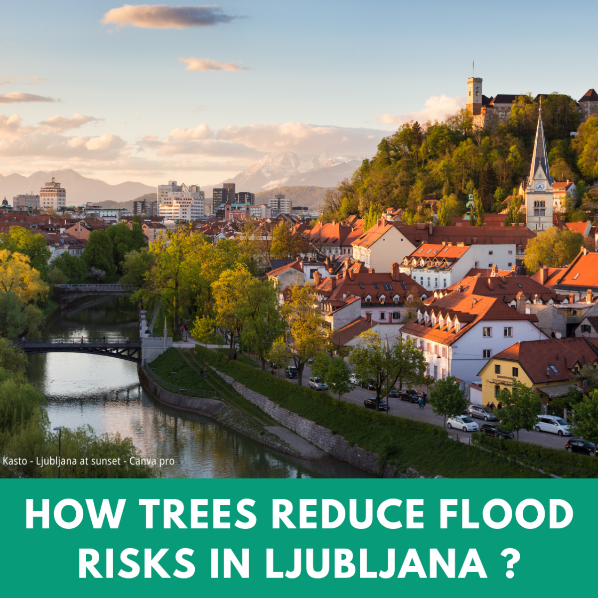 Carousel: How trees reduce flood risks in Ljubljana ?
