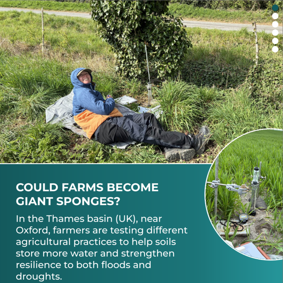 Carousel: could farms become giant sponges?