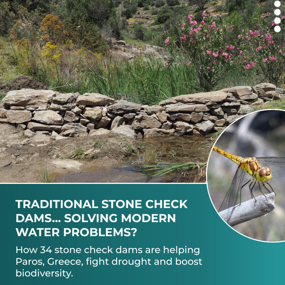 Carousel: Traditional stone check dams fighting drought