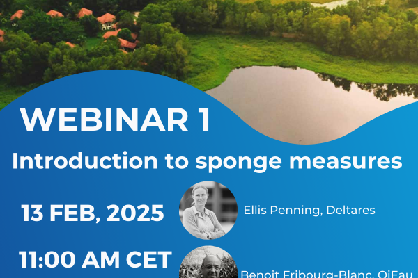 Webinar 1 - Save the Date
