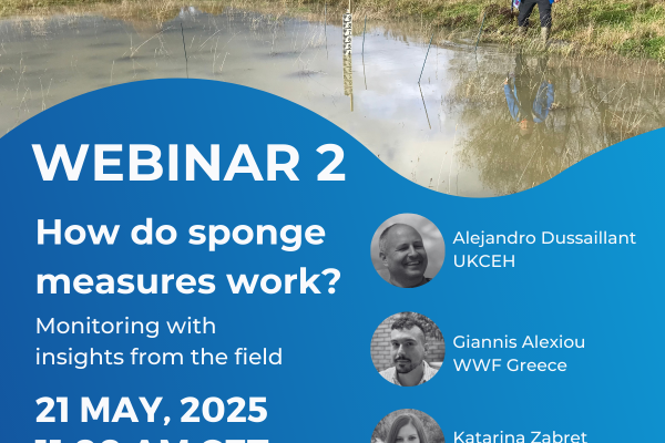 Webinar 2 