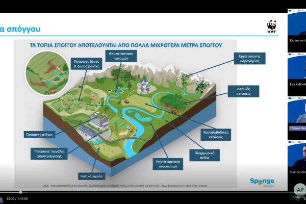 SpongeDay in Greece - image shows a screenshot of the webinar, with sponge landscape illustration