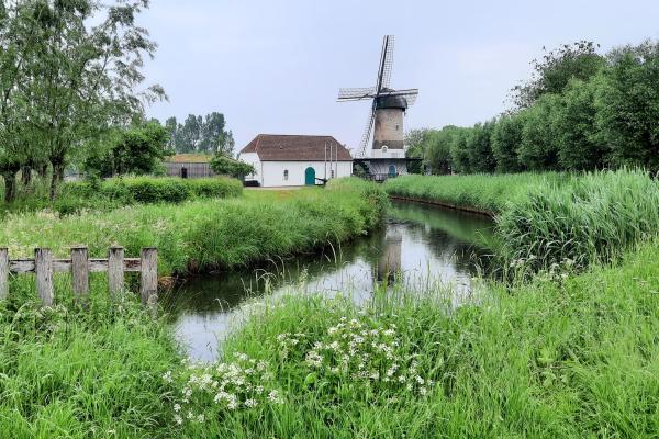 02_NL_Aa-and-Maas