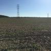 07_UK_uppercovercrops