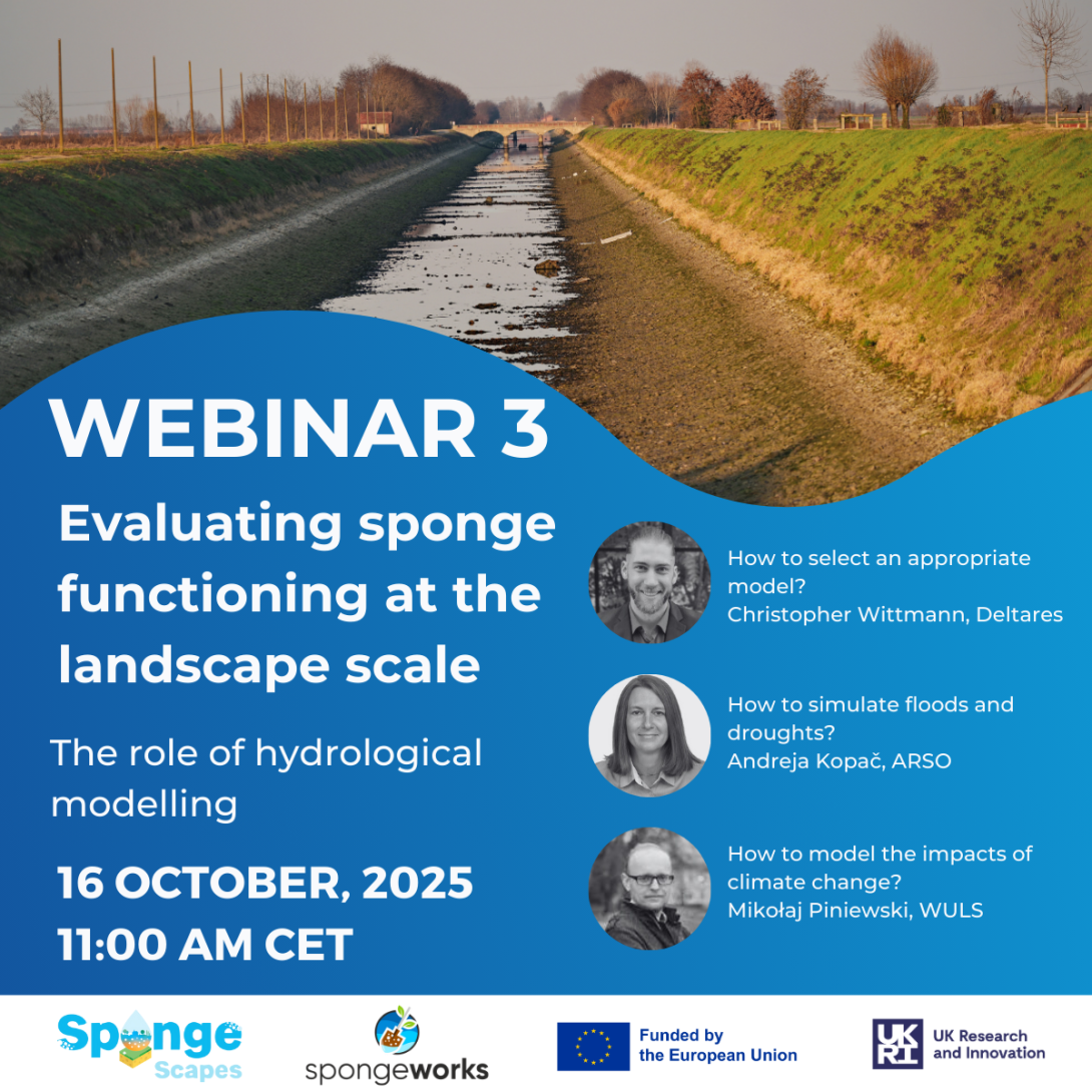 Webinar 3 - Evaluating sponge functioning at landscape scale - The role ...