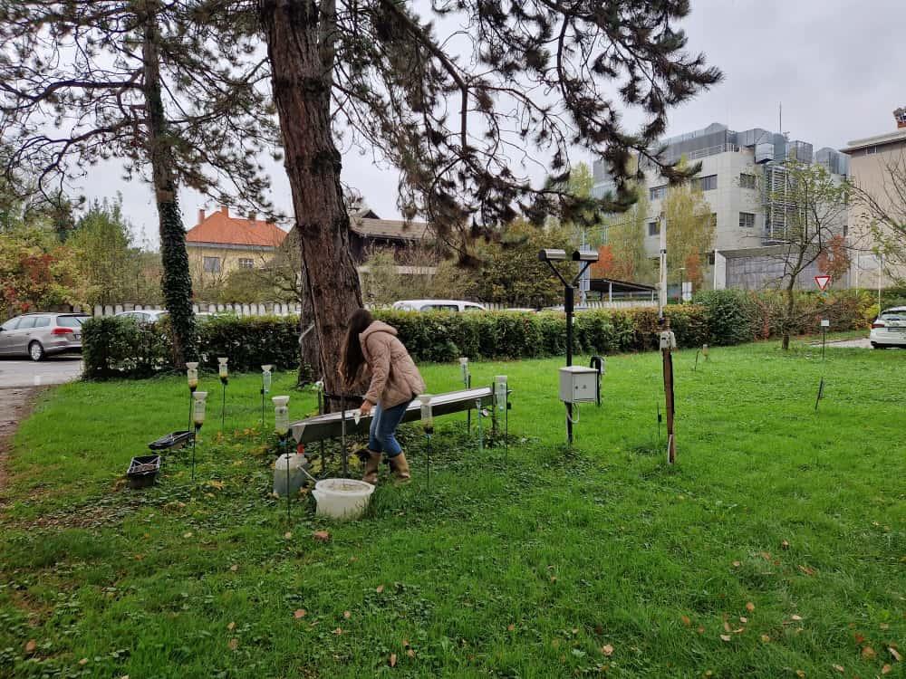 University of Ljubljana - pilot plot